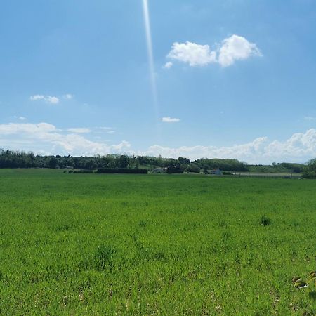 Gite Drome Des Colines Anneyron Екстер'єр фото